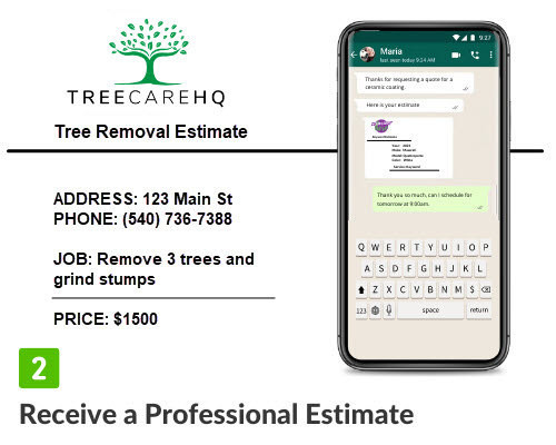 Tree removal cost estimate